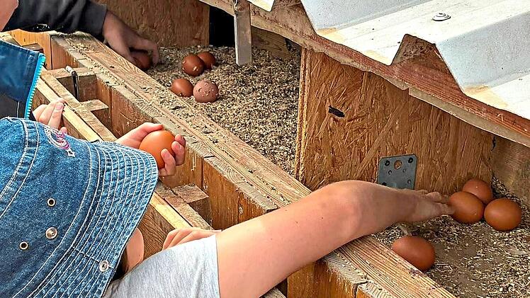 Beim Familientag hatten die Kinder jede Menge zu entdecken.Robina Leonard