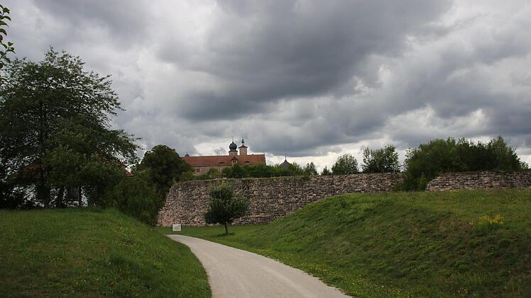 Die Erschließung der Burg über den Buchwald sieht der Wissenschaftler Herbert Popp als sehr problematisch an. Foto: Archiv/Katrin Geyer