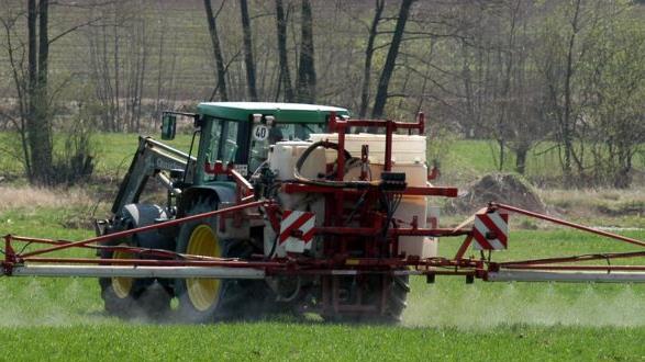 Sollten Gemeinden den Pächtern ihrer landwirtschaftlichen Flächen den Einsatz von Glyphosat verbieten? Diese Frage stellt sich derzeit in vielen Kommunen. Symbolfoto: Ronald Rinklef/Archiv