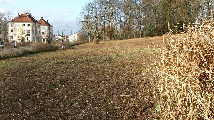 Auf der 8000 Quadratmeter großen Fläche oberhalb der Bayreuther Straße sollen in vier Häusern 60 bis 70 Wohnungen entstehen. Der Baumbestand im Hintergrund soll erhalten werden. Foto: Andreas Oswald