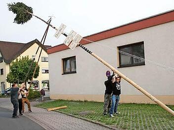 Traditionell mit Stangen und Seilen wurde der Obersdorfer Maibaum von den "Maibaamhunter Michelau" direkt neben dem Feuerwehrhaus in Michelau aufgestellt. Foto: Klaus Gagel