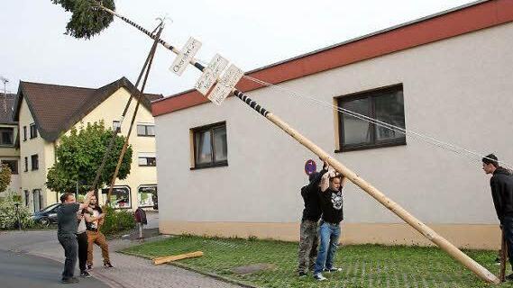 Traditionell mit Stangen und Seilen wurde der Obersdorfer Maibaum von den "Maibaamhunter Michelau" direkt neben dem Feuerwehrhaus in Michelau aufgestellt. Foto: Klaus Gagel