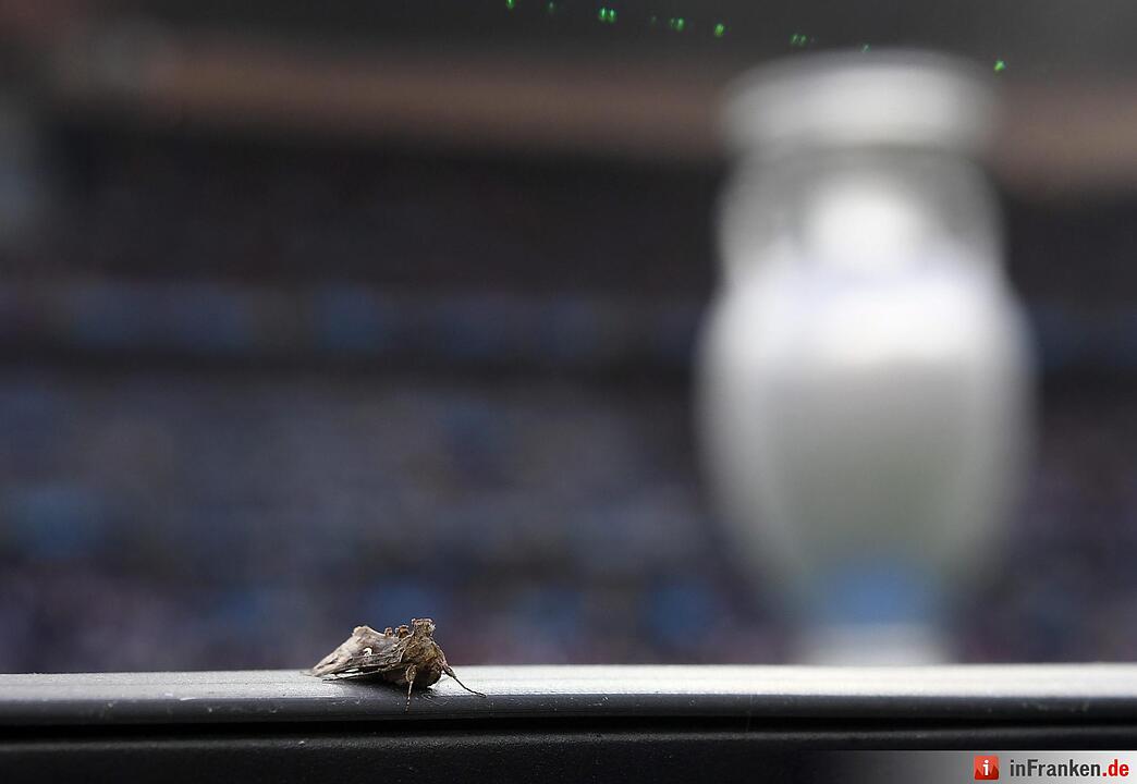 Motten beim EM-Finalspiel in Paris