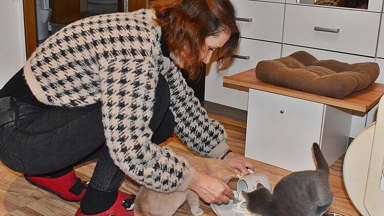 Früh aufstehen heißt es für Katrin Rinke, denn vor der Arbeit müssen die Katzen gefüttert werden.