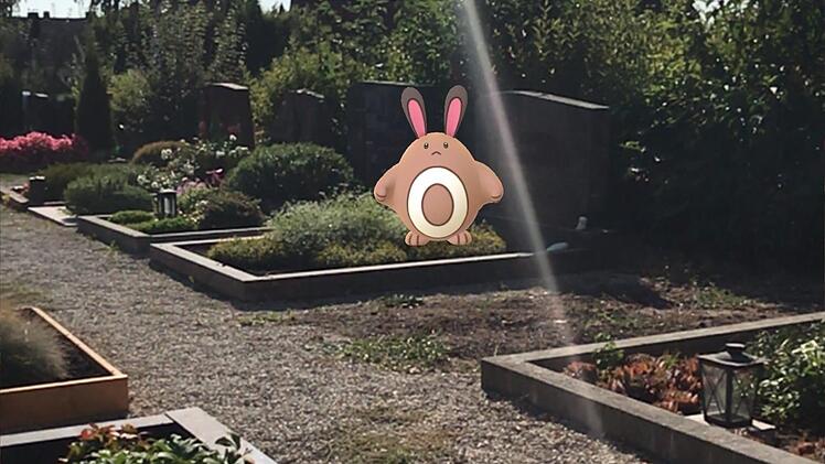 Auch auf dem kirchlichen Friedhof findet sich so manch seltsames Wesen. Diese Wesen finden sich oberhalb der Gräber.