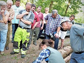 Forstbeamtin Anja Mörtlbauer legt die Larven eines Borkenkäfers unter der Baumrinde frei. Foto: Werner Reißaus