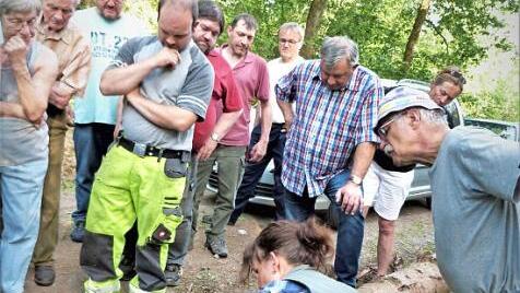 Forstbeamtin Anja Mörtlbauer legt die Larven eines Borkenkäfers unter der Baumrinde frei. Foto: Werner Reißaus