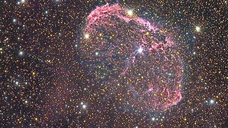 So sieht es aus, wenn ein massereicher Stern stirbt und seine  Gas-Atmosphäre hinaus ins Weltall bläst. Wasserstoff leuchtet rot, Stickstoff blau. Der rund 4700 Lichtjahre entfernte Wolf-Rayet-Stern, auch  Mondsichelnebel oder NCG 6888 genannt, erinnert von der Erde aus betrachtet an eine rote Qualle.Christoph Gerhard