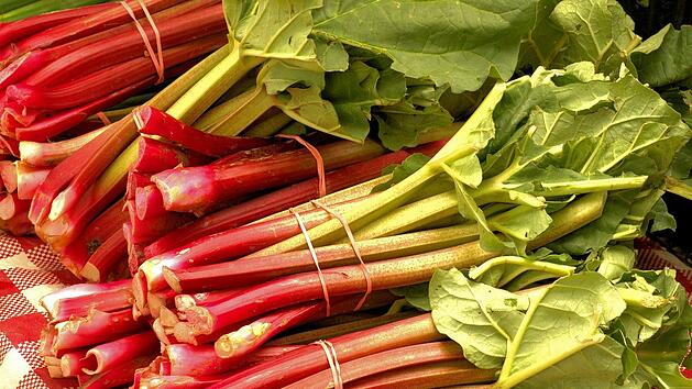 Frischen Rhabarber erkennst du an knackigen saftigen St&auml;ngeln und frischen Schnittstellen.