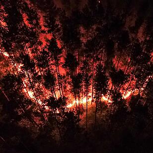 Munition detoniert bei nächtlichem Waldbrand