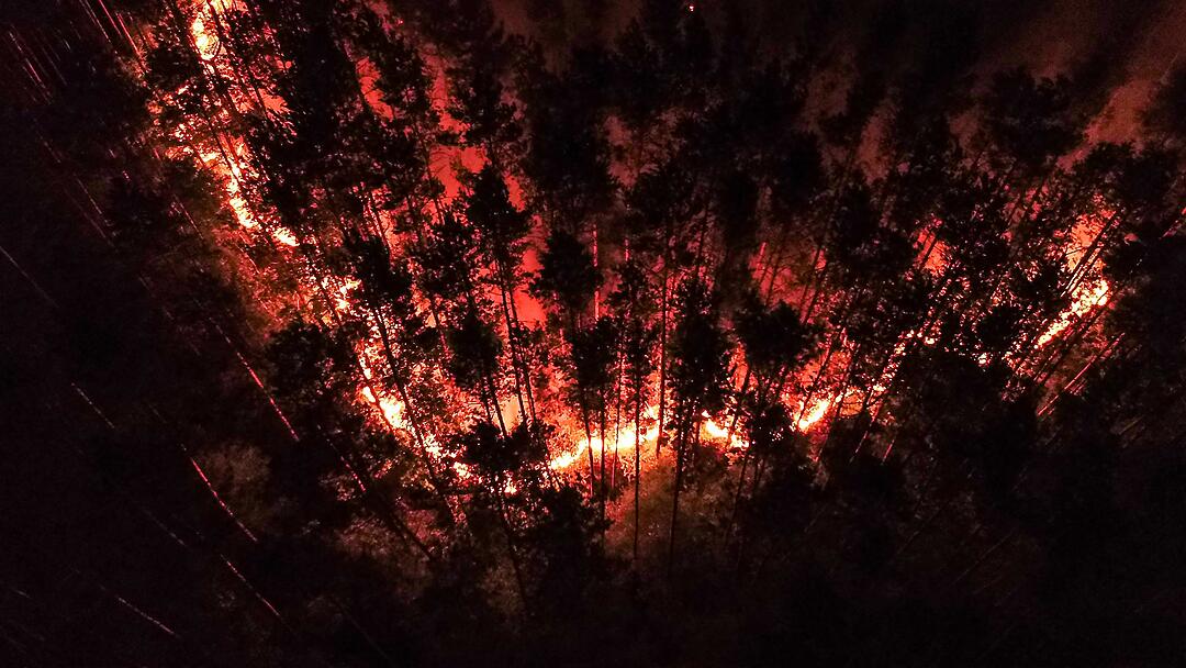 Munition detoniert bei nächtlichem Waldbrand
