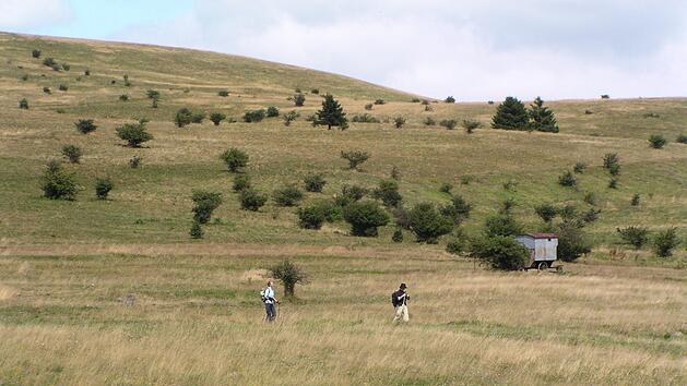 Wandern und Naturerlebnis: Die 33. Bischofsheimer Wanderwoche bietet vom 9. bis 13. Mai beides in der hessischen und bayerischen Rh&ouml;n.