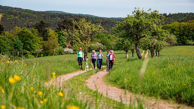 Seit 2016 gehört auch das Räuberland zu den "Qualitätsregionen Wanderbares Deutschland".