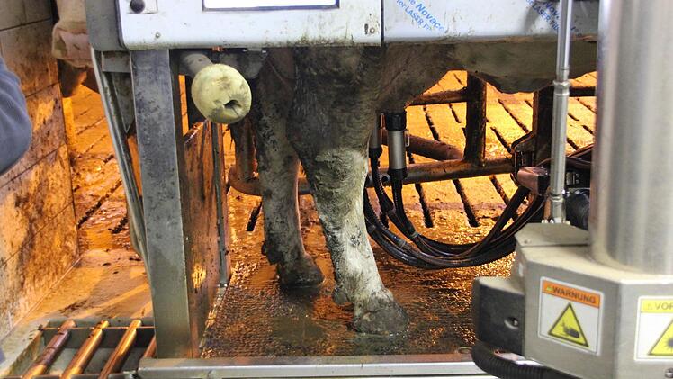 Zu Gast im neuen Stall in Effelter. Foto: Marco Meißner