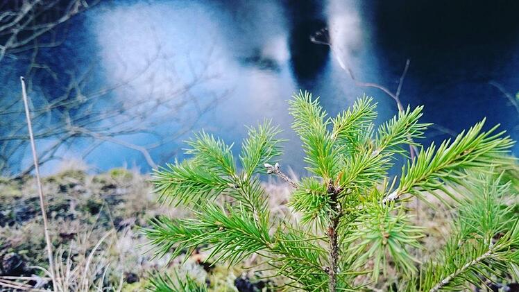 Der Basaltsee am Steinernen Haus in der Rhön ist Zeuge des Rhön-Vulkanismus und lädt zum Wandern und Verweilen ein. Foto: tina_photography97/ infrankenpix.de