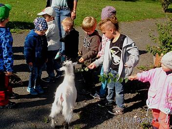 Spaß machte es den Kindern, die Ziegen zu füttern. Als besonders zutraulich erwies sich der kleine Bock "Prinz Leopold", der sich mit der Flasche füttern ließ. Foto: Günther Geiling