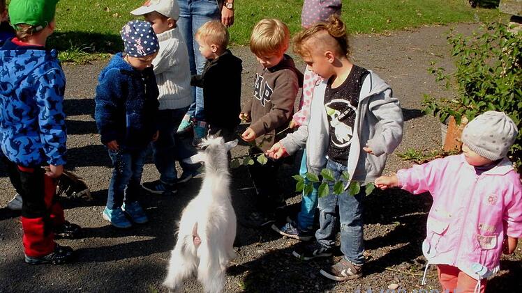 Spaß machte es den Kindern, die Ziegen zu füttern. Als besonders zutraulich erwies sich der kleine Bock "Prinz Leopold", der sich mit der Flasche füttern ließ. Foto: Günther Geiling