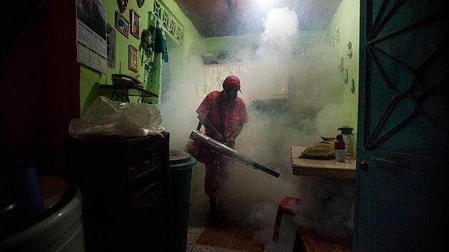 Der Kampf gegen die M&uuml;cken, die das Zika-Virus &uuml;bertragen. Foto: Miguel Gutierrez, dpa