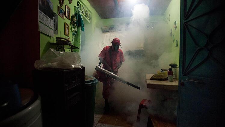 Der Kampf gegen die M&uuml;cken, die das Zika-Virus &uuml;bertragen. Foto: Miguel Gutierrez, dpa