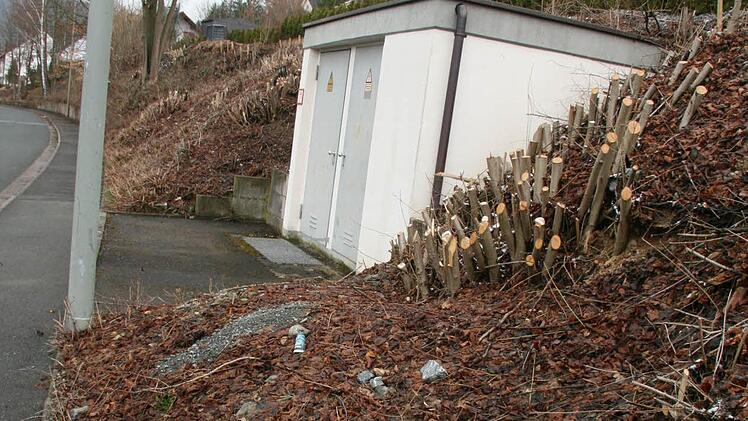 Das Trafohäuschen, das vorher eingewachsen war, ist nicht mehr zu übersehen.