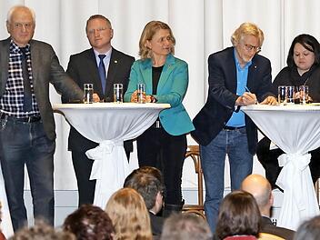 Neun politische Gruppierungen, neun Kandidaten (von links): Dieter Weinsheimer (FW), Martin Pöhner (FDP), Ursula Sowa (GAL), Helmut Müller (CSU), Anette Göpel (BALI), Norbert Tscherner (BBB), Daniela Reinfelder (BUB), Heinz Kuntke (SPD) und Michael Bosch (BR) diskutieren über Konversion, Bahnausbau, Wohnungsmarkt und mehr. Fotos: Matthias Hoch