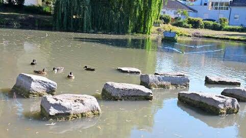 Die Steine in diesem Weiher in Dörfleins zeigen, wie der Wasserstand gesunken ist.