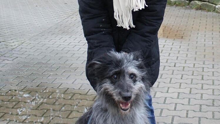 Ulrike Vogel mit Hund Berry