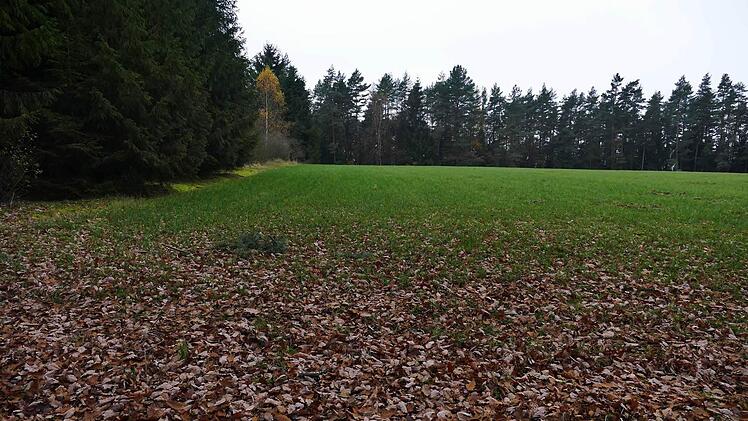 Foto: privat