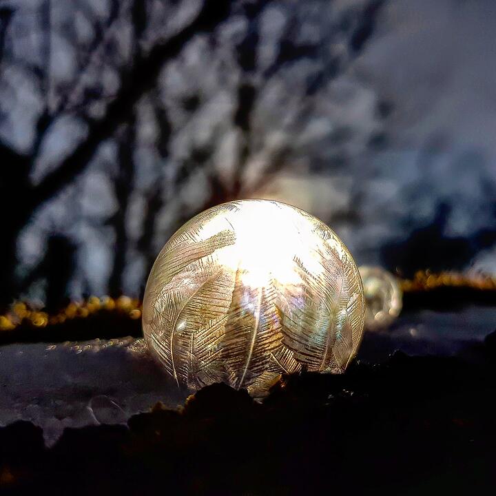 Die schönsten Frühlingsfotos aus Bayreuth und Umgebung
