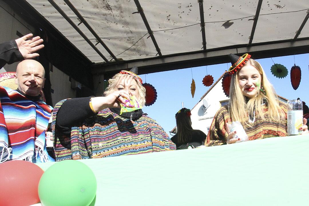 Fasching 2025 in Stadtsteinach!