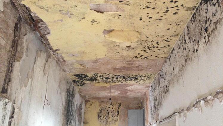 Im Inneren hat sich überall der Schimmel breitgemacht. Foto: privat