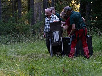Tiergarten N&uuml;rnberg: Luchs Koda in Rheinland-Pfalz ausgewildert