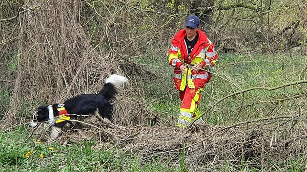 Einer der 15 ausgebildeten Rettungshunde mit Hundef&uuml;hrerin Bettina Griebel beim heutigen Sucheinsatz Foto: privat