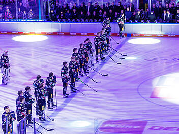 Eisbären Berlin - Nürnberg Ice Tigers