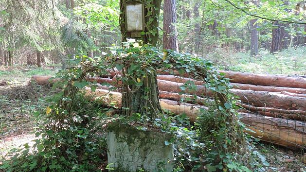 Etwa 100 Meter von der Bundesstra&szlig;e 85 entfernt, st&ouml;&szlig;t man auf diesen Stein. Foto: Erich Olbrich