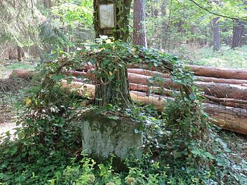 Etwa 100 Meter von der Bundesstraße 85 entfernt, stößt man auf diesen Stein. Foto: Erich Olbrich