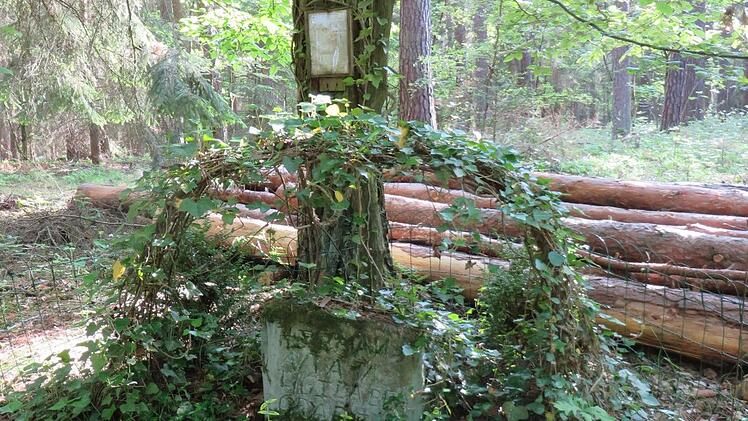 Etwa 100 Meter von der Bundesstraße 85 entfernt, stößt man auf diesen Stein. Foto: Erich Olbrich