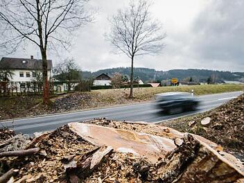 Der Heckenbeschnitt im Landkreis Kronach ruft heuer Befürworter und Gegner auf den Plan. Foto: Symbolbild/Hendrik Steffens
