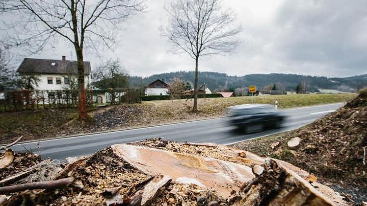 Der Heckenbeschnitt im Landkreis Kronach ruft heuer Befürworter und Gegner auf den Plan. Foto: Symbolbild/Hendrik Steffens