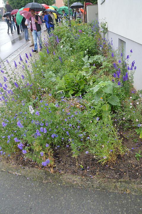 Hellmitzheim hat Zukunft