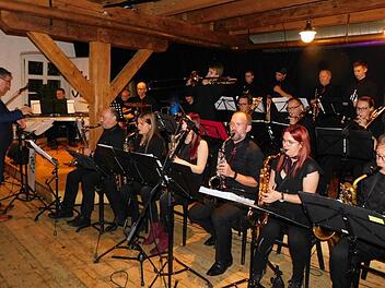Die "T-Jazz" Big Band war gut aufgelegt. Foto: Horst Wunner
