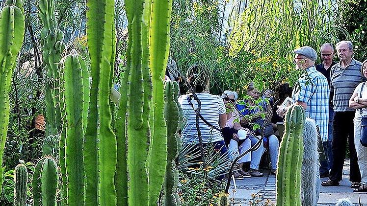 Die F&uuml;hrung geht durch den Botanischen Garten.