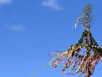 Maibaum in Arnstein anges&auml;gt