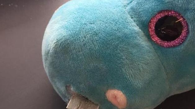 In Gro&szlig;britannien haben Eltern einen erschreckenden Fund in einem Kuscheltier gemacht. In der Nase eines Pl&uuml;sch-Nilpferdes steckte eine scharfkantige Rasierklinge.  Foto: Screenshot Facebook / Shannan Eliza Claudia Brandon