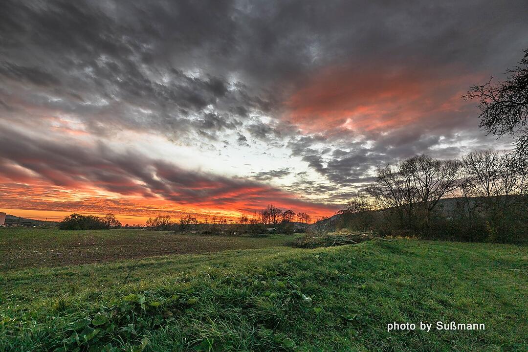 Die schönsten Fotos im November aus Forchheim und Umgebung