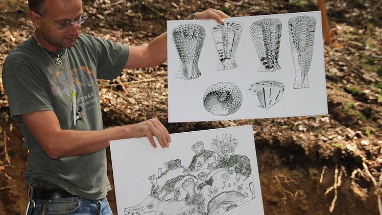 So haben die Pflanzen ausgesehen und gelebt.