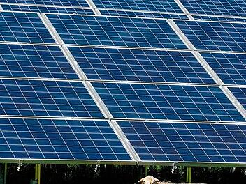 Photovoltaik und Schafe