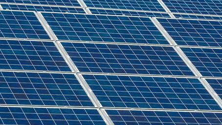 Photovoltaik und Schafe