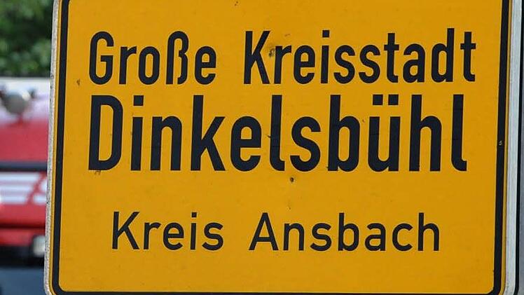 Ab Freitag ist in Dinkelsbühl wieder Kinderzeche. Foto: Karl-Josef Hildenbrand, dpa