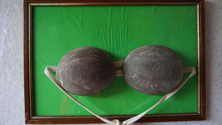 Die Erotik wird in zwei Kokusnuss-Schalen verpackt: Götz nennt sein Objekt bös "Bio-BH". Foto: Wolfgang Schoberth